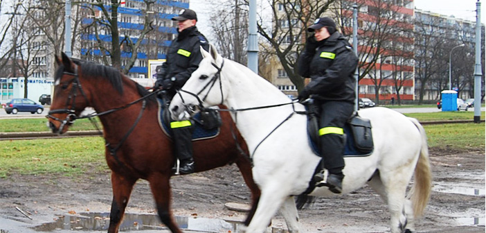na zdjęciu policja na koniach