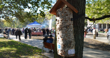 Mieszkania dla owadów