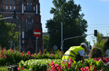 Dzielnica walczy z nielegalną adopcją
