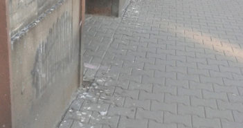 Ptasi problem przy Szanajcy