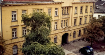 Ropucha i mopsy z ul. Inżynierskiej